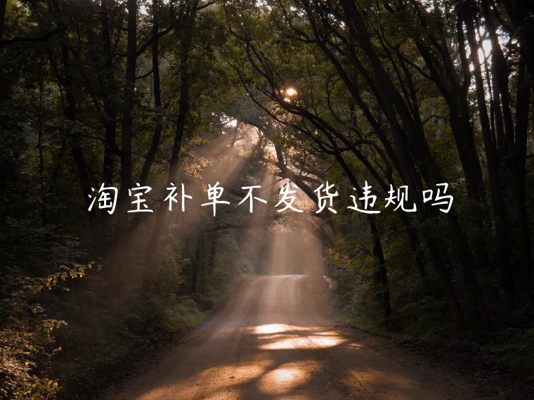 淘寶補(bǔ)單不發(fā)貨違規(guī)嗎